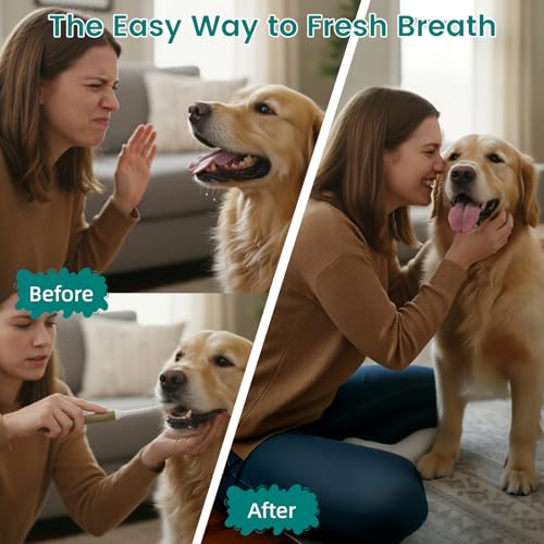 Image of 4 Pack Dental Chews for Dogs, Freeze Dried Dog & Cat Treats to Help Clean Teeth & Freshen Breath,Supports Gum & Oral Health, Daily Oral Care Treats for Cats and Dogs