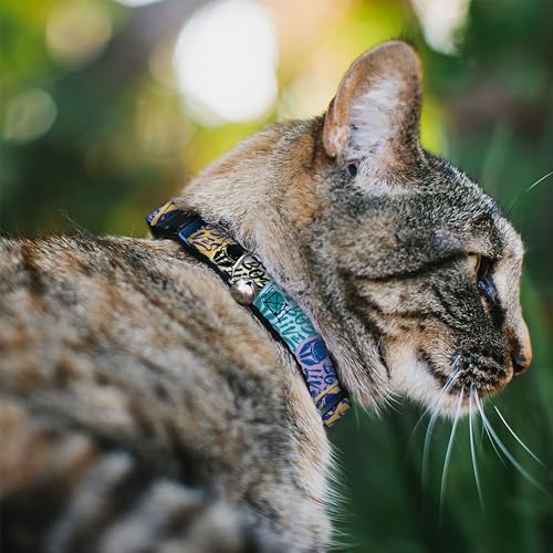 Collar de gato Star Wars antitirones con cascabel para evitar pérdidas dentro de casa 3