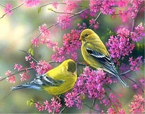 Peinture par numéros oiseaux adultes peinture à l'huile fleur kit DIY 40x50cm
