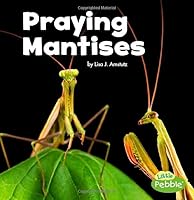 Algopix Similar Product 10 - Praying Mantises (Little Critters)