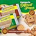 Lil Dutch Maid Creme Cookies Variety Pack | 11.8 oz (Pack of 3) | Chocolate, Peanut Butter, and Duplex Flavors | Assorted Sandwich Cookies