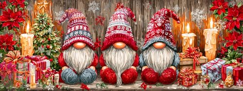 Pavemlo 5D ダイヤモンドアートキット 大人用 クリスマス フルドリル ダイヤモンドアート ノーム ピクチャー ペイント ダイヤモンド付き DIY クロスステッチ ジュエルアート ラインストーン クラフト 自宅の壁の装飾用 30x80cm