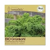 Samenliebe BIO Grünkohl Samen | traditionelle Ostfriesische Palme - winterhart...