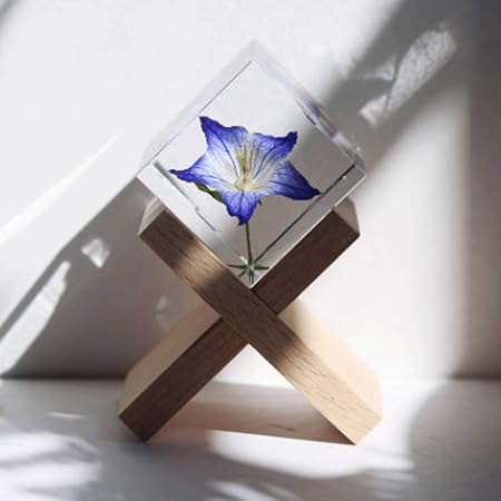 シャイニングゴールデン 小さなお花 樹脂標本 errer 気泡 植物標本