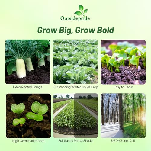 image for Outsidepride Annual Daikon Radish Seeds - 50 lbs. Chinese, Japanese, &