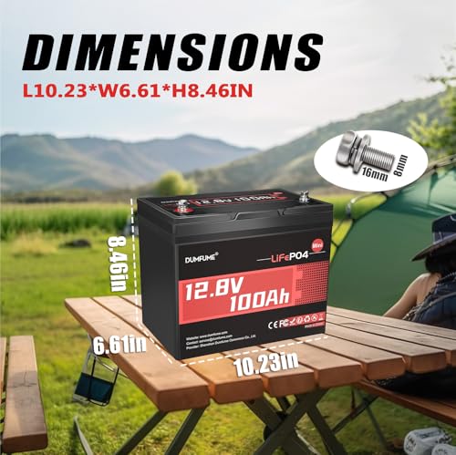 Image of 12V 100Ah Mini LiFePO4 Lithium Battery, Built-in 100A BMS,1280Wh Deep Cycle Rechargeable Battery 6000+ Cycles 10-Year Lifespan for RV, Solar, Off-Grid and Home Energy Storage