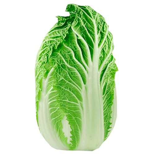 Kit 220 Sementes de Hortaliças e Ervas, 10 Variedades, para Horta Caseira