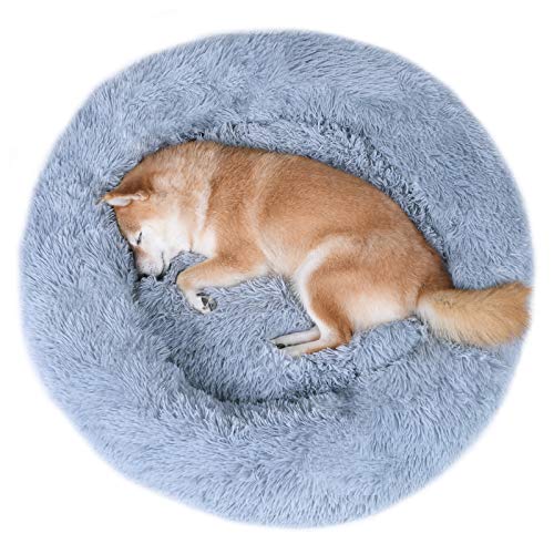 ebates 1800 pet meds