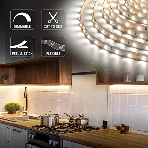 Image of Armacost Lighting 840600 60 watt Dimmable Driver for LED Lighting, with Removable AC Cord, White & 152250 RibbonFlex Pro Series 60 LED Strip Light, 32.8 ft, 4000K, LED Lights
