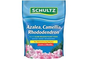 Schultz Azalea, Cameillia, Rhododendron, ACR Slow Release Plant Food 14-7-7