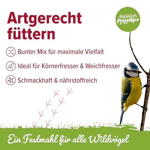 Natürlich Pfiffikus Vogel-Buffet – Fettfutterblock mit Insektenfett für Wildvögel – Vogelfutter Fettblock proteinreiches Ganzjahresfutter– nachhaltig & CO₂-sparend – Energiekuchen für Wildvögel