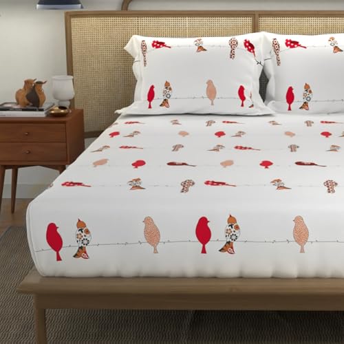 Image of Urban Space Divine Collection 144 TC 100% Cotton King Bedsheet with 2 Pillow Covers, Humming Bird Red