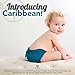 Ecoposh OBV Pocket Fitted Cloth Diaper, Caribbean