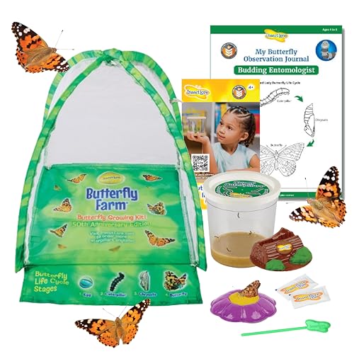Insect Lore Butterfly Farm - Live Cup of 5 Caterpillars, Reusable Habitat, STEM Butterfly Activity...