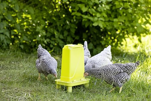 Kerbl Hobbyfarming Futterautomat mit Standfüßen, Automatische Futterzufuhr, Inkl. Standfüße, Abnehmbarer Deckel, Wetterbeständig, Leichte Reinigung, Transparenter Behälter, Für Geflügel, 5,5l, grün