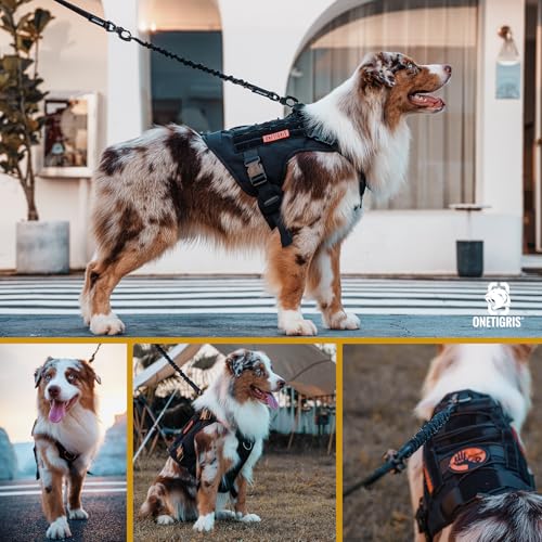 OneTigris Ruckdämpfer Hund 51cm, Hundeleine Nylon mit Tiger Zahn Metallclip, Leinenverlängerung Reflektierend für Spaziergänge, Radfahren