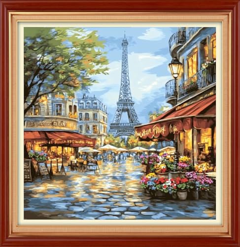 Image of Foxhool Stamped Cross Stitch Kits,11CT Printed Cross Stitch Pattern Full Embroidery Kits for Beginner Needlepoint Kits&Eiffel Tower Street Market 18x18 inch