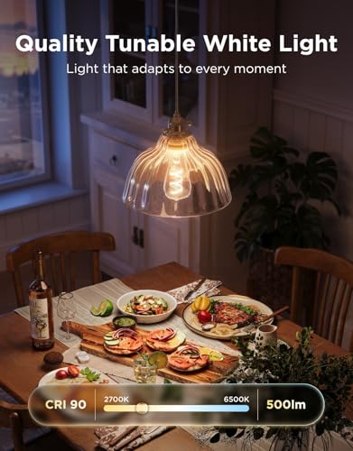 Image of Govee Edison Bulbs, Smart Vintage Light Bulbs, RGB Color Changing and Tunable White, Compatible with Matter, Alexa & Google Assistant, LED Filament Bulb, ST19(58), E26 Base for Home Decor, 4 Pack
