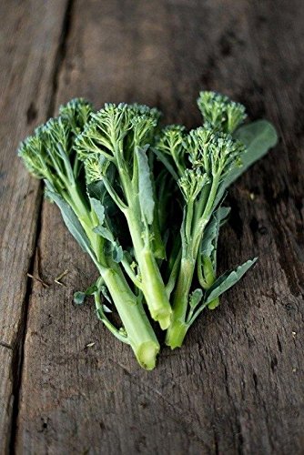 BROCCOLI - ピノピ Amazon.com : Aspabroc F1 Hybrid Brocolli Seeds - Gourmet