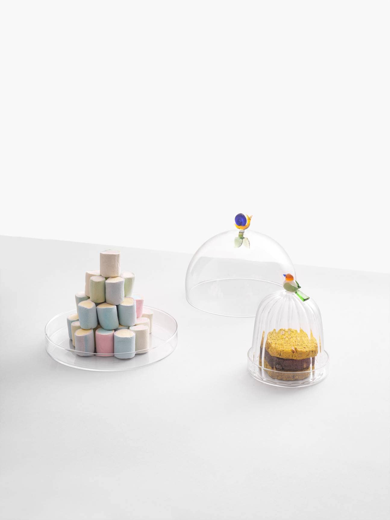Ichendorf Milano Cupola con Piatto Chiocciola e Foglia | Collezione Animal Farm | D 20 cm | Vetro Borosilicato | Fatto a Mano
