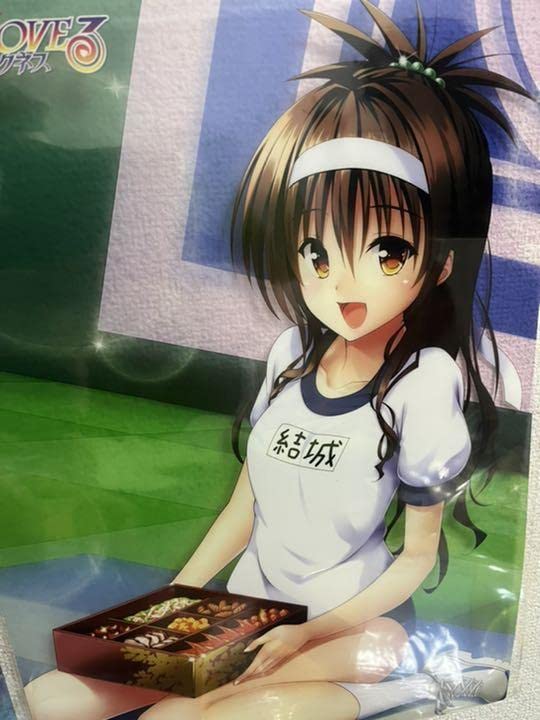 ToLOVEる A3クリアポスター 6枚セット 原画展 ToLOVEる原画展 凱旋 闇 A3クリアポスター | Goo Goo Dept.