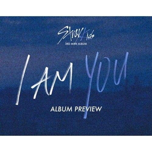 straykids 'i am you 'アルバム Amazon.com: Stray Kids - [I Am You] 3rd Mini Album YOU Ver CD+