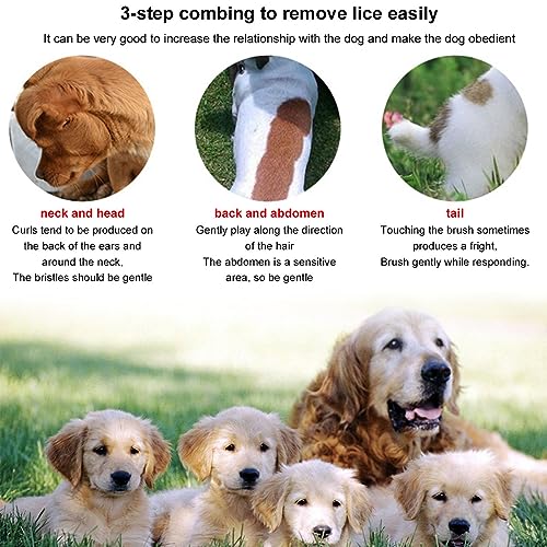 Fellkamm Katze,Entwirrkamm Hund,Hundekamm,Combi Kamm für Hund, Bürste Gegen Flöhe Unterwolle,Katzenkamm mit Doppelseitig Metall Abgerundeten ZäHnen,Flohkamm für Katzen,Katzenkamm,2pcs,rot+Blau