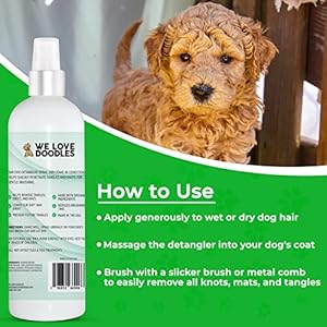 Doodle detangler spray  leave in conditioner for dogs  made in the usa  detangler spray for dogs  tangle remover  large 16 fl oz lavender we love doodles   cucciolini doodles