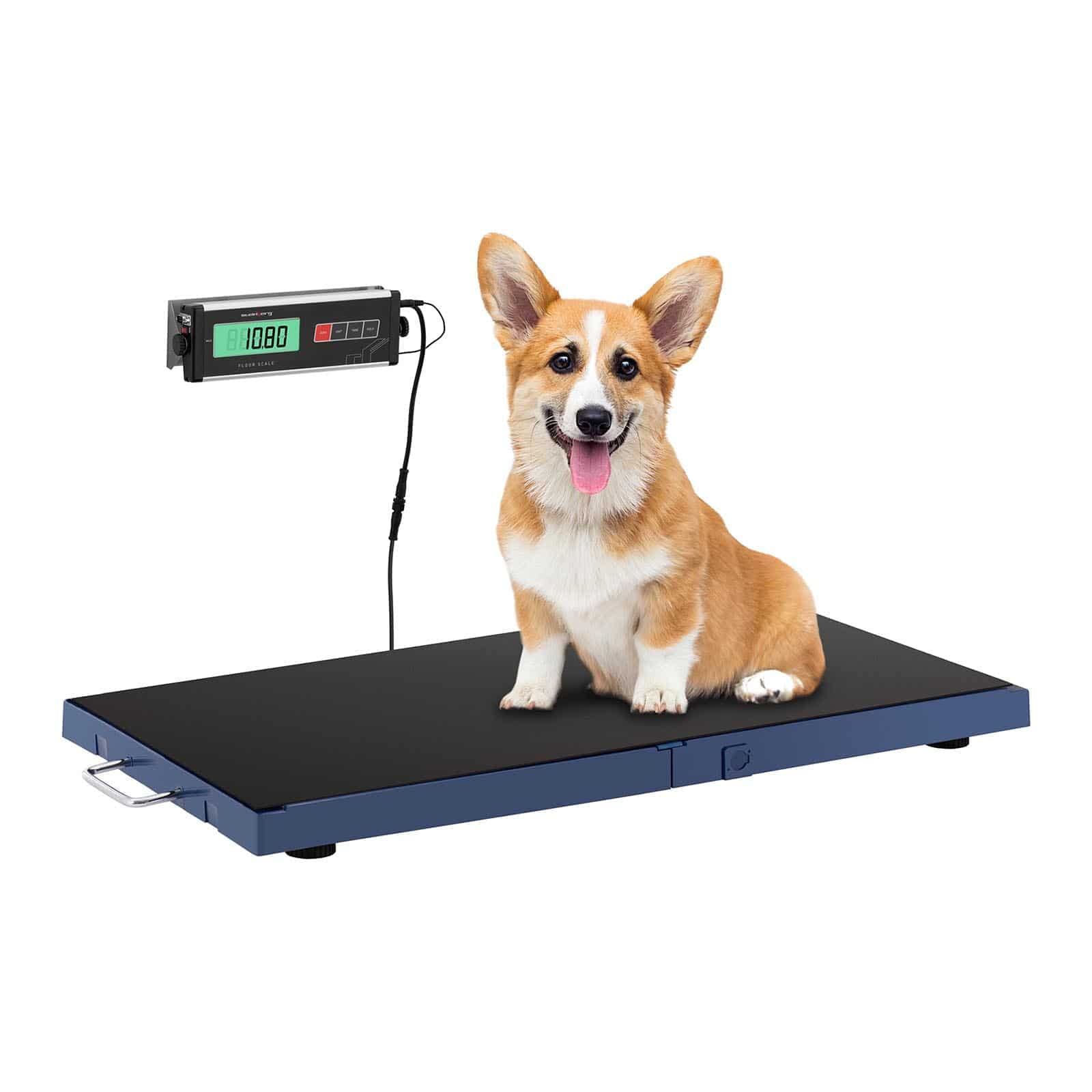 Steinberg Systems SBS-PS-1800 Balance vétérinaire avec écran LCD antidérapant 180 kg/50 g