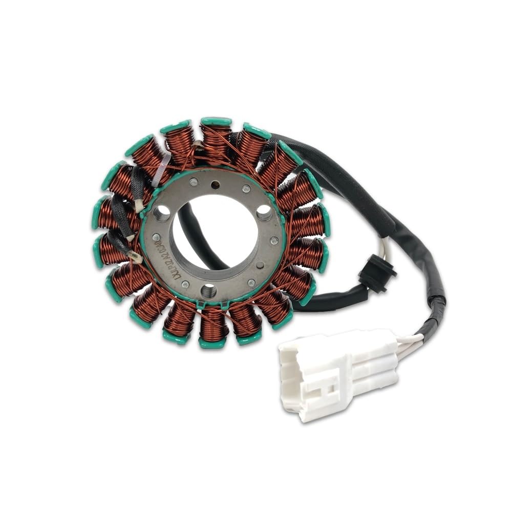 Motorcycle Stator Assembly Generator Magneto Ignition Coil Compatible With DT230 MT250 HENGJIAN HJ250H KAYO KT250 GR8