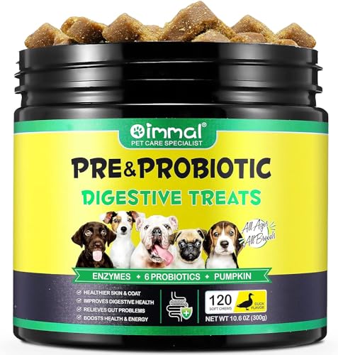Probiotics for Dogs