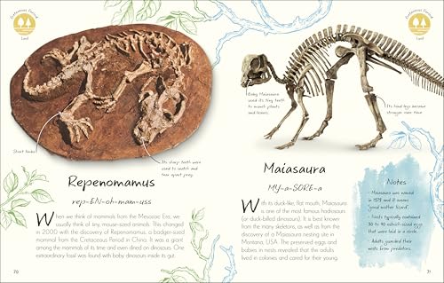 An Anthology of Fossils: A Collection of Plant and Animal Fossils From Around the World (DK Little Anthologies) - Image 3