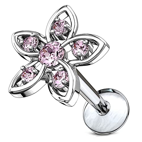 [HSP] WG ubgX^bh 16G 6mm  t[ × sN {fB[sAX sAX