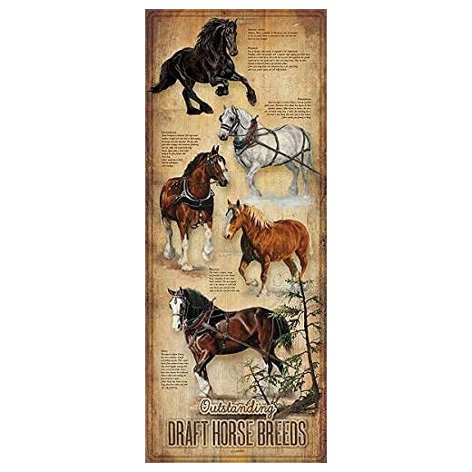 Outstanding Draft Horse Breeds Retro Metal Tin Sign Plate Drive Way Road Street Man Cave Wall Decor Sign 4" x 16"