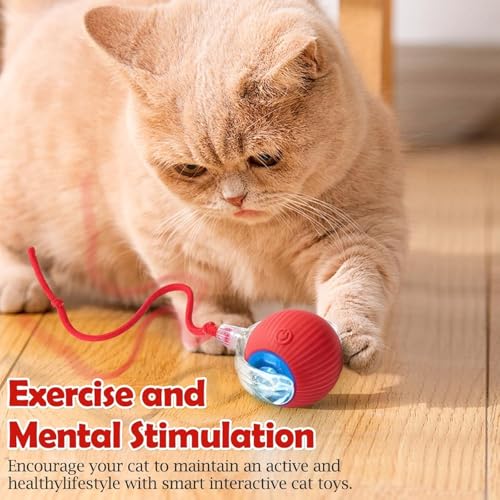 Image of Cat Toys Ball - Smart Rolling LED Ball, Automatic & USB Rechargeable Motion Activate for Indoor Kitten Puppy Dog cat- Pet Exercise, IQ Training, Fun & Engaging Pet Toy