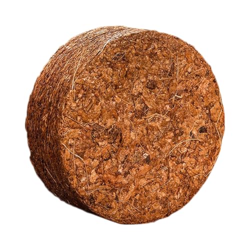 Toddmomy 5 kRRibc@ۓyubN |ph{y ې A n[u ؂̈琬 O͔|