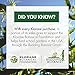 Klorane Dry Shampoo with Nettle for Oily Hair and Scalp, Regulates Oil Production, Paraben & Sulfate-Free, Travel Size, 1 oz.