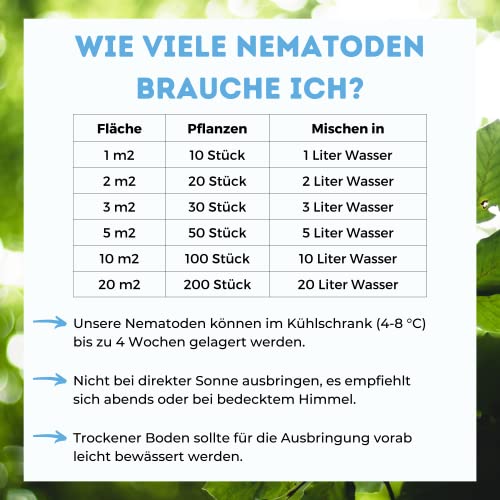 Futeco® – SF-Nematoden (20 Mio.) gegen Trauermücken – für 200 Pflanzen / 20m² Fläche – zum einfachen gießen 4