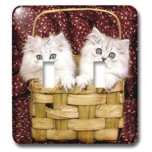 3dRose oXPbgɓqL - _ugOXCb` (LSP_782_2) e