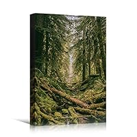 Canvas Wall Art Green Forest Dramatic Forest Landscape Living Room Multicolor Photography Rustic - 12x18 inches