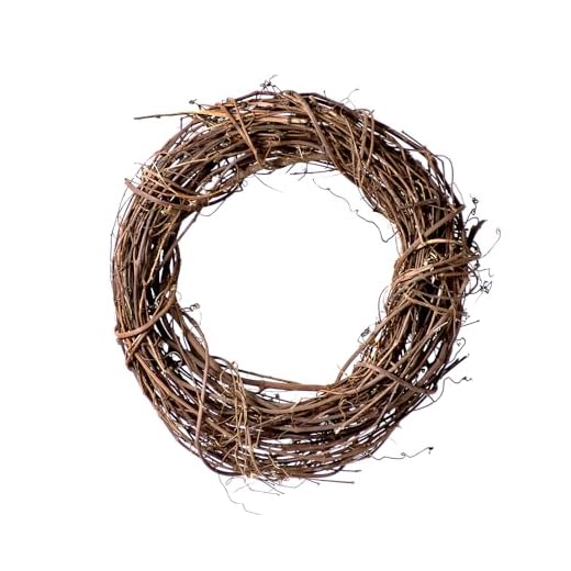 29+ Elegant Fall Wreaths to Enhance Your Home Decor 4 SuperMoss (22605) Natural Orchard Grapevine Wreath – Handcrafted Rustic Wreath for Front Door, Seasonal Home Decor, Indoor and Outdoor Door Wreath, 12", Natural