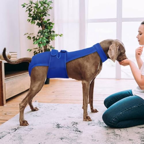 Leletail Fraldas para cães, reutilizáveis, laváveis, menstruais, com suspensório, calcinhas ajustáve