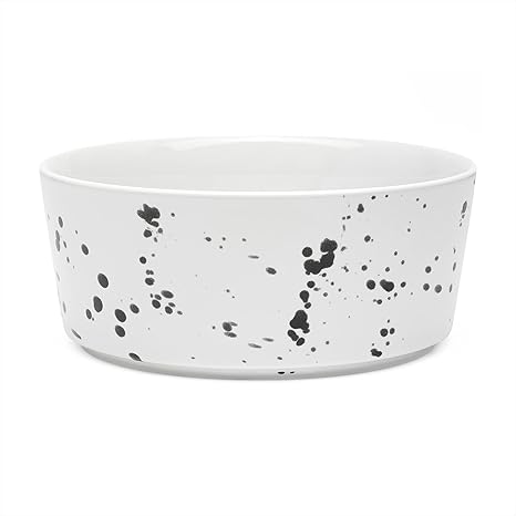 amazon ceramic dog bowls