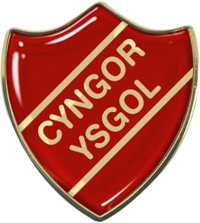 Capricornone Cyngor Ysgol Gel Domed Red School Shield Badge