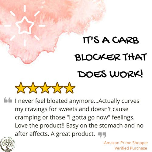 Carb Blocker - 200 Capsules X 700 MG of 100% Pure White Kidney Bean Extract - 20:1 Extract - for Men & Women - Thumbnail 5