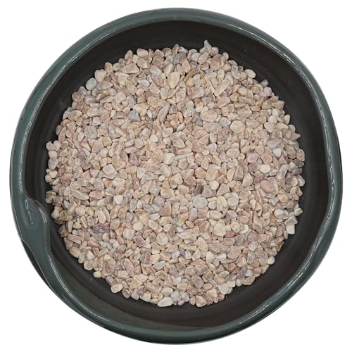 2 LBS Yellow Pea Gravel, Natural Succulent and Cactus Gravel