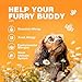 Dog Allergy Relief Chews - Itch Relief for Dogs - Allergy Chews for Itching Skin with Hemp Seed Oil, Turmeric, Quercetin - Immune Health Support Treats - Hot Spots - Skin and Coat Health