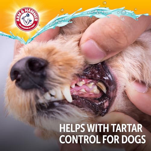 Arm & Hammer Complete Care Dog Dental Spray, Mint, 6 Fl Oz - image 8