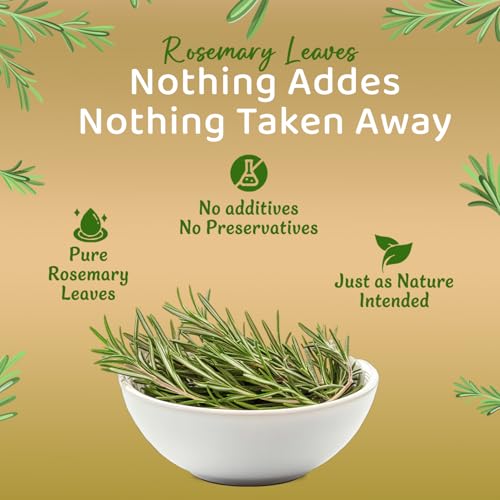 Image of NutroVally Rosemary Leaves 100g | For Seasoning & Helps In Hair Growth | 100% Natural Rosemary Dried Leaves | Food Grade With Mist Spray + Combo Bottle| Rosemary leaves organic
