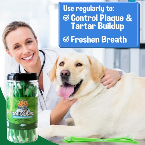 Image of New Dual Ended Long Dog & Cat Toothbrush | Pet Safe Super Soft Bristles for Pet Dental & Oral Care Teeth & Gums | Bulk Container 50 Pack
